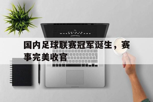 国内足球联赛冠军诞生，赛事完美收官